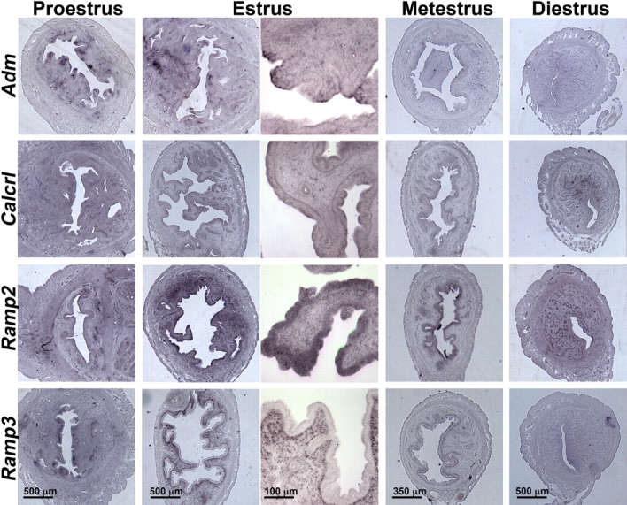 FIG. 5.