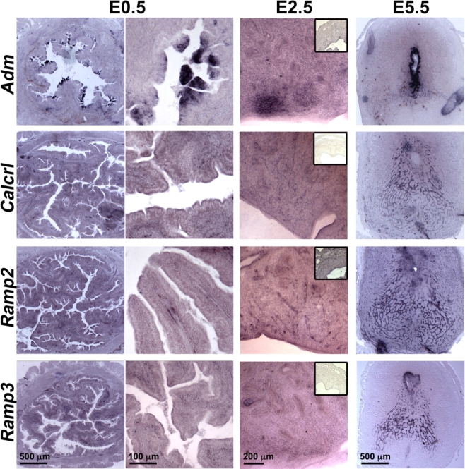 FIG. 6.