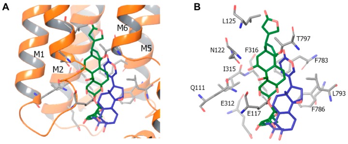 Figure 5