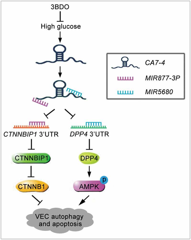 Figure 11.