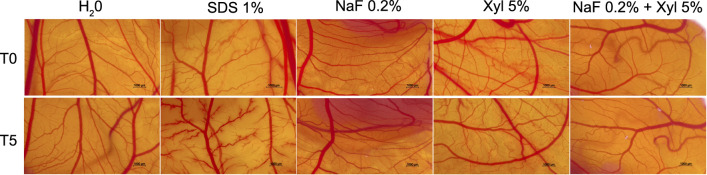 Figure 17.