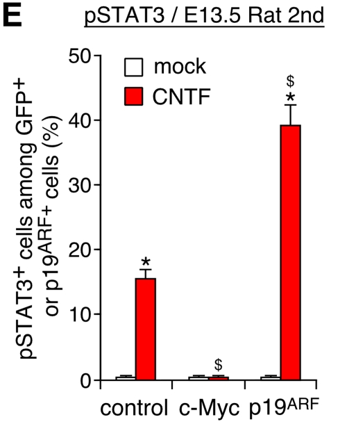 graphic file with name JCB_200807130_RGB_Fig5Ecorrection.jpg