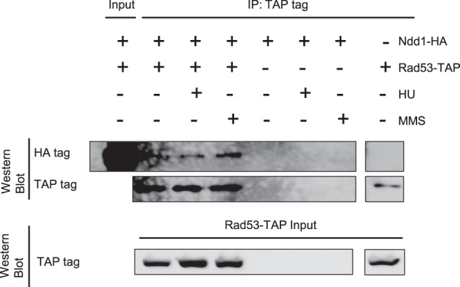 FIG 6