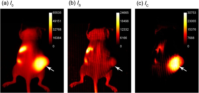 Fig. 2