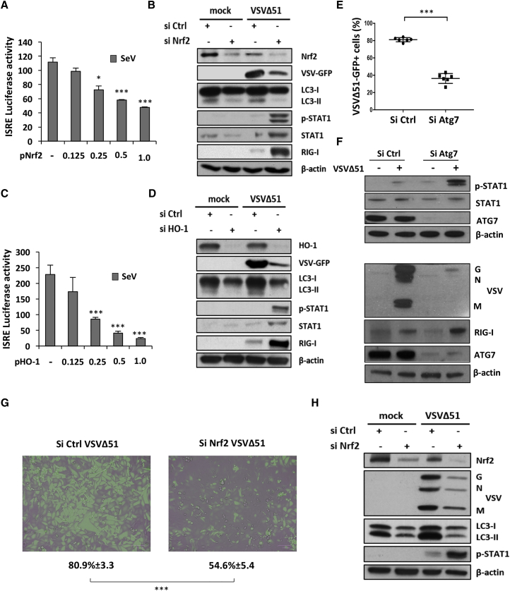 Figure 6