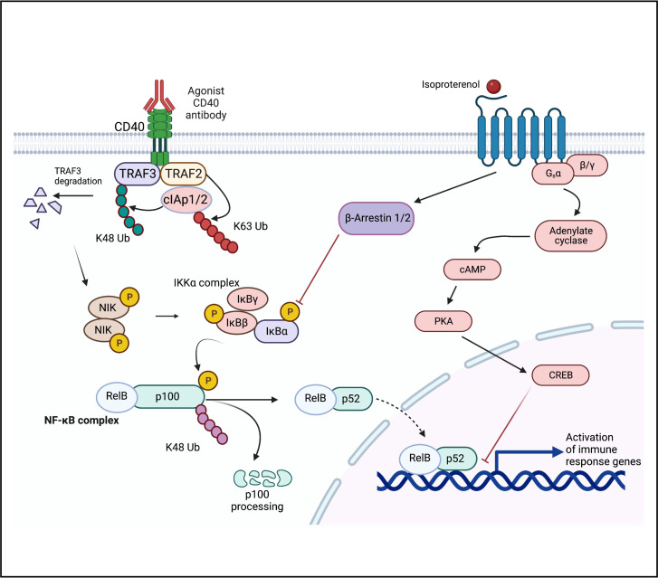 Figure 6