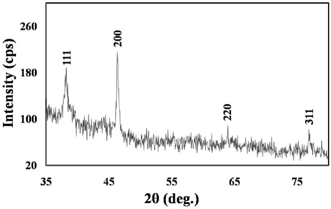 FIGURE 3