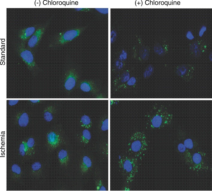 Figure 3b: