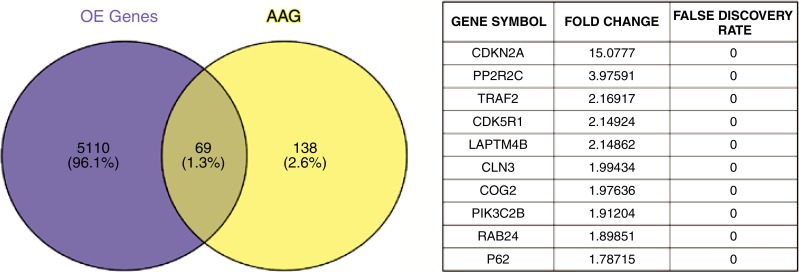 Figure 3a: