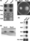 FIG. 3.