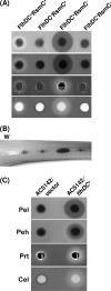 FIG. 2.