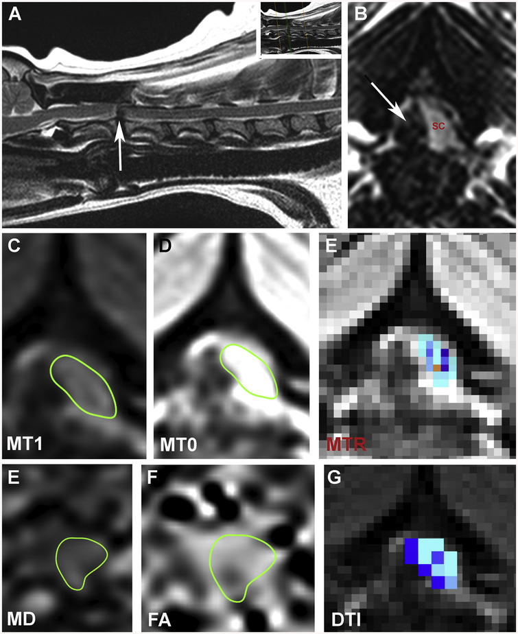 Fig. 7.