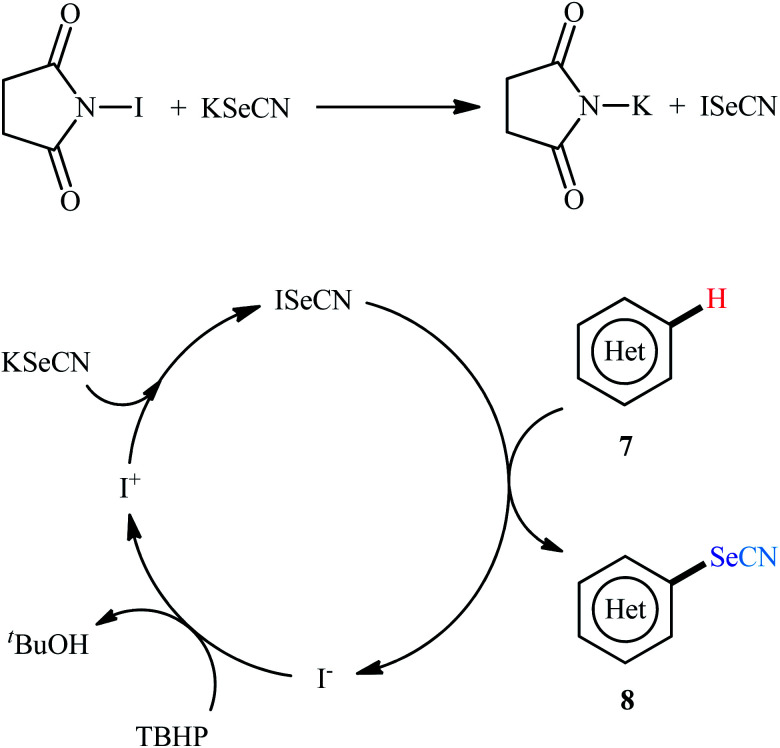 Scheme 6