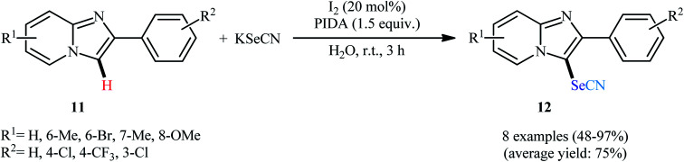 Scheme 8