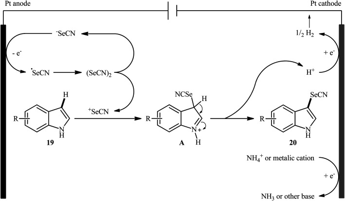 Scheme 14