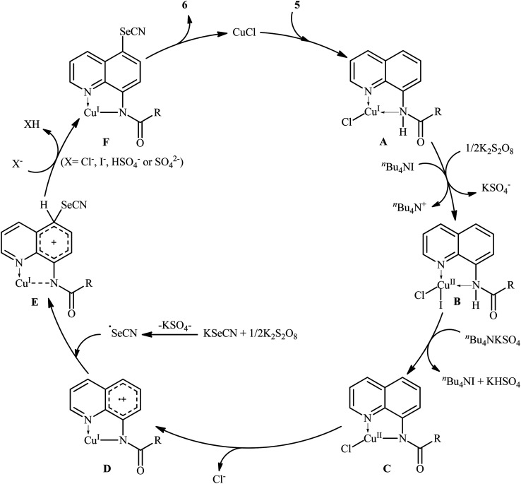 Scheme 4