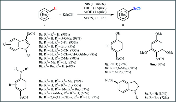 Scheme 5