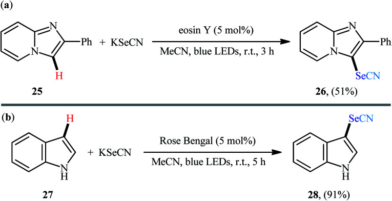 Scheme 17