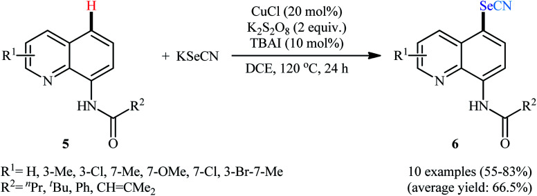 Scheme 3