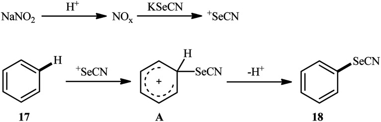 Scheme 12