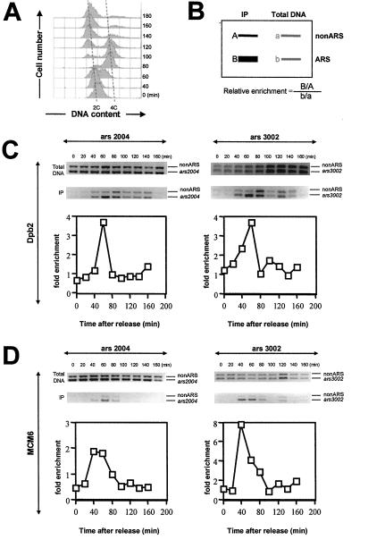 Figure 5.