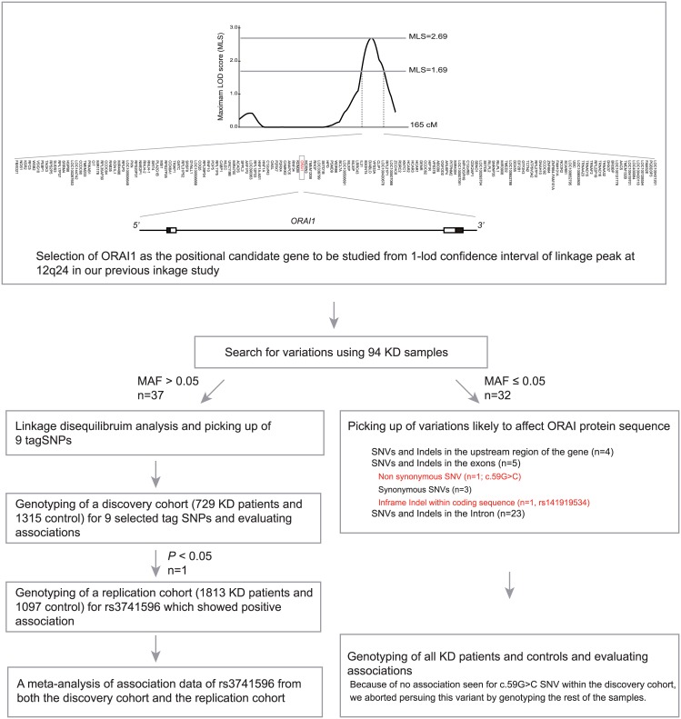 Fig 1