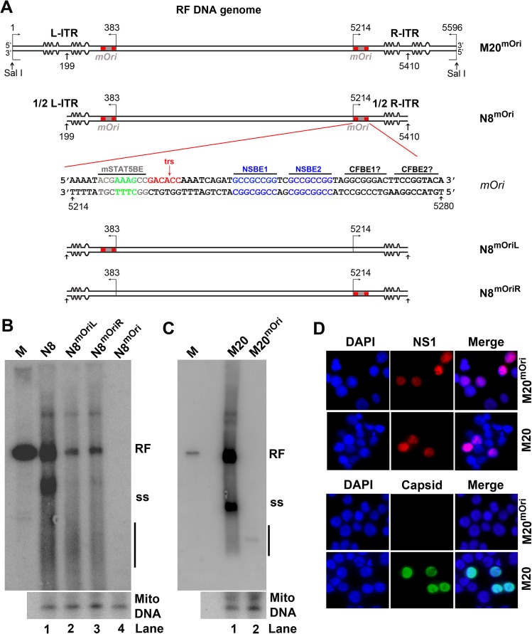 Fig 6