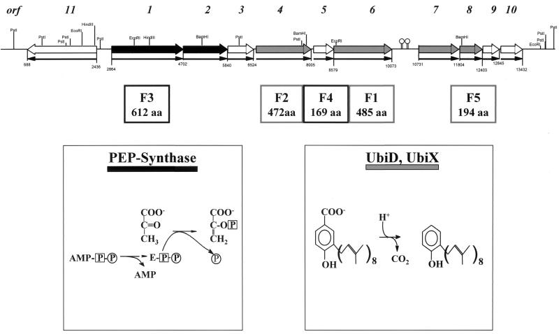 FIG. 5