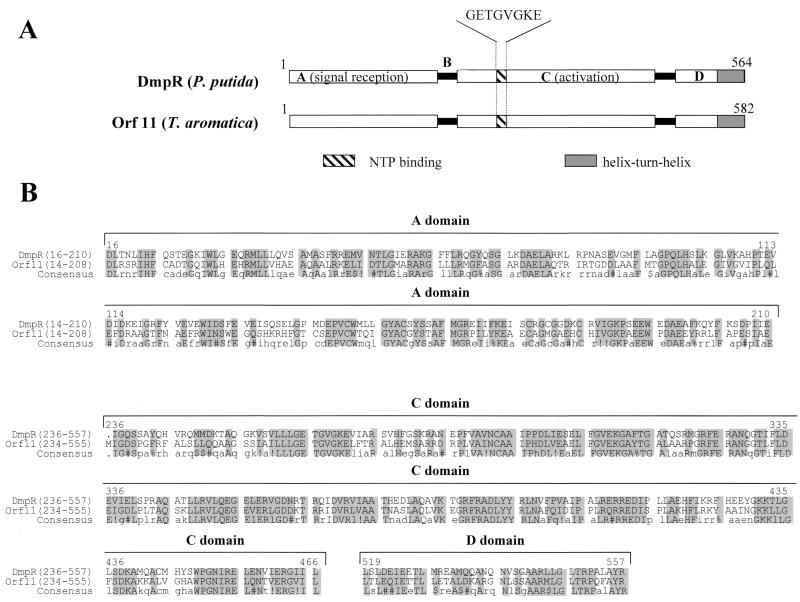 FIG. 10