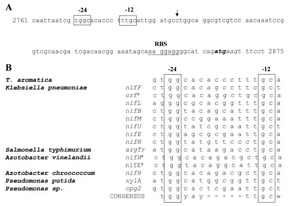 FIG. 11