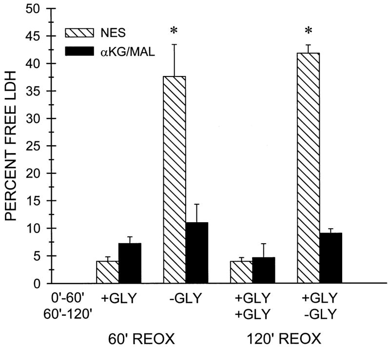 Fig. 11