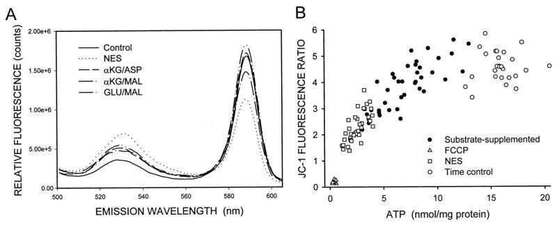 Fig. 5