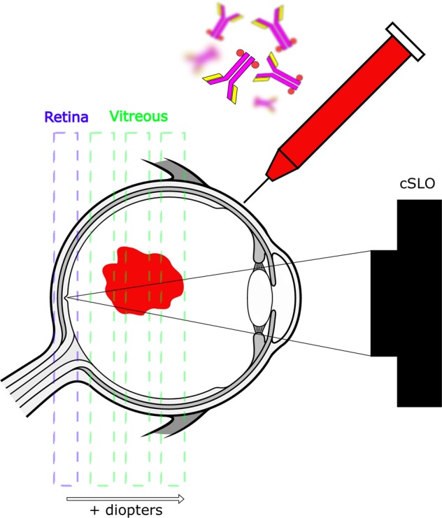 Fig. 1