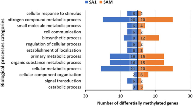 Figure 11