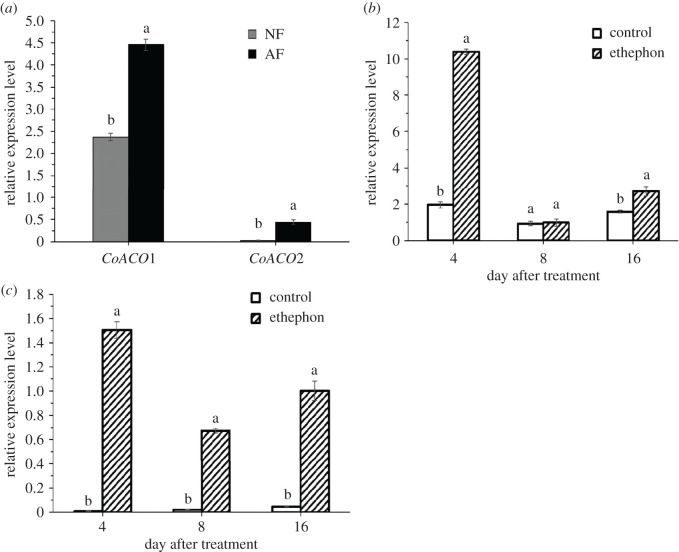 Figure 6. 