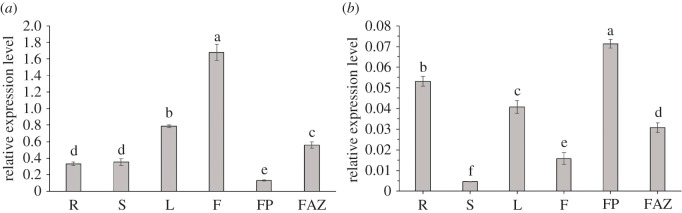 Figure 5. 