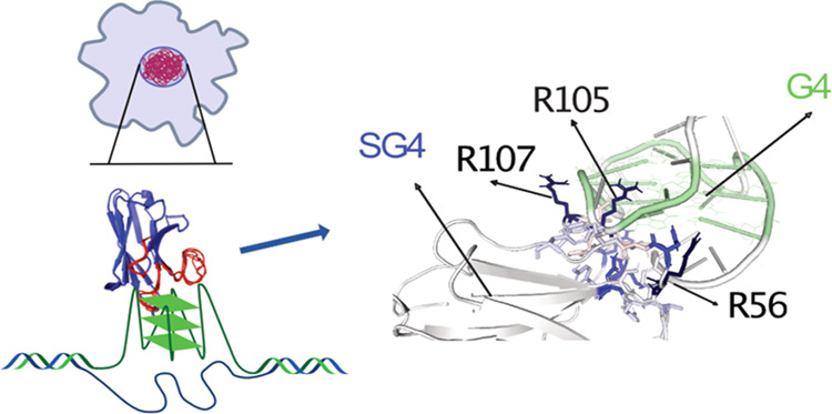 graphic file with name ja2c10656_0005.jpg