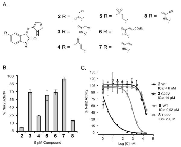 Figure 2