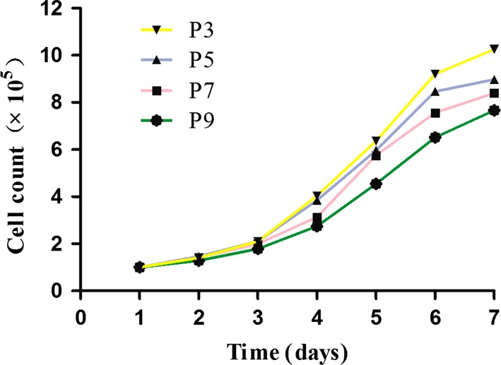 Fig. 4