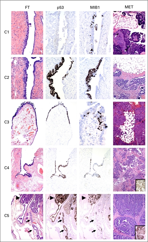 Fig 1.