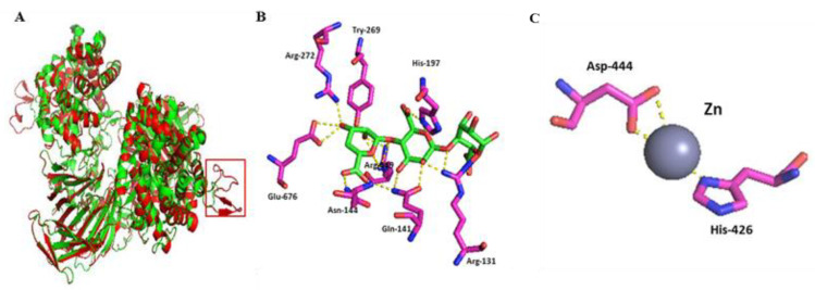 Figure 6