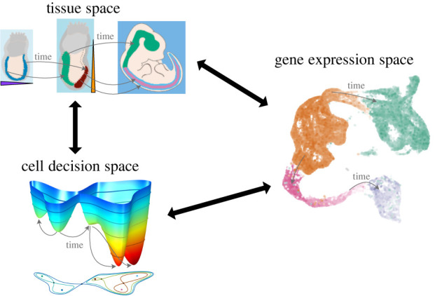 Figure 13. 