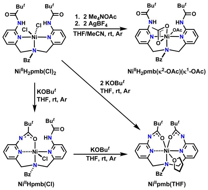 Scheme 2