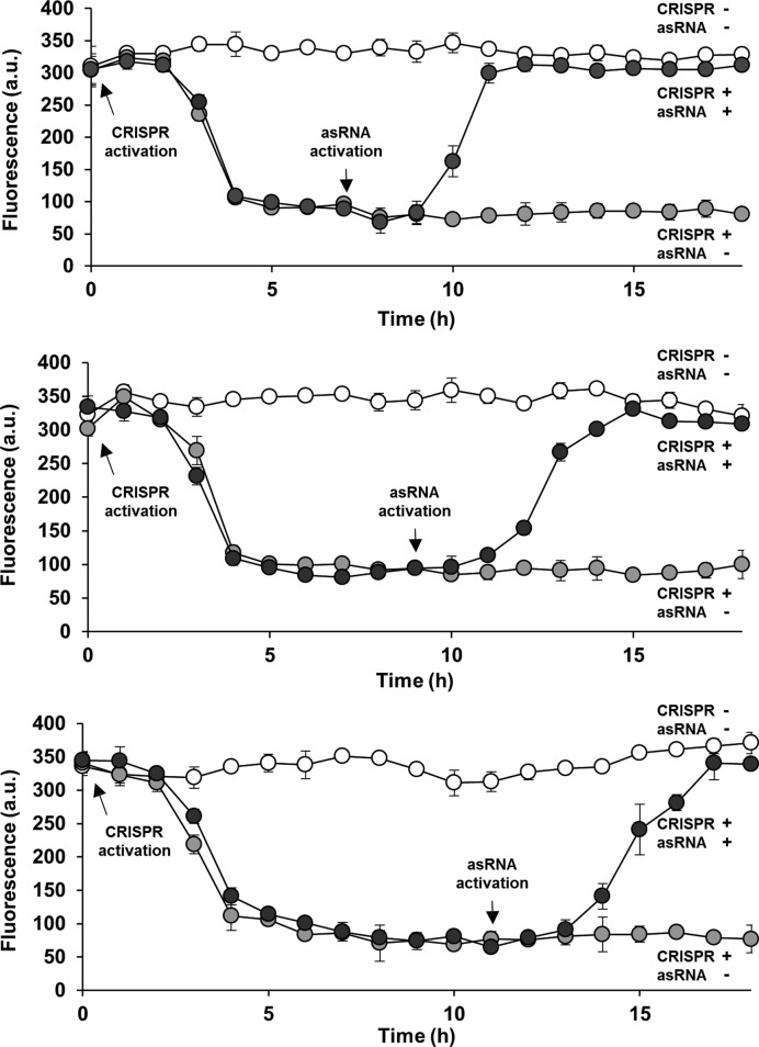 Figure 4.