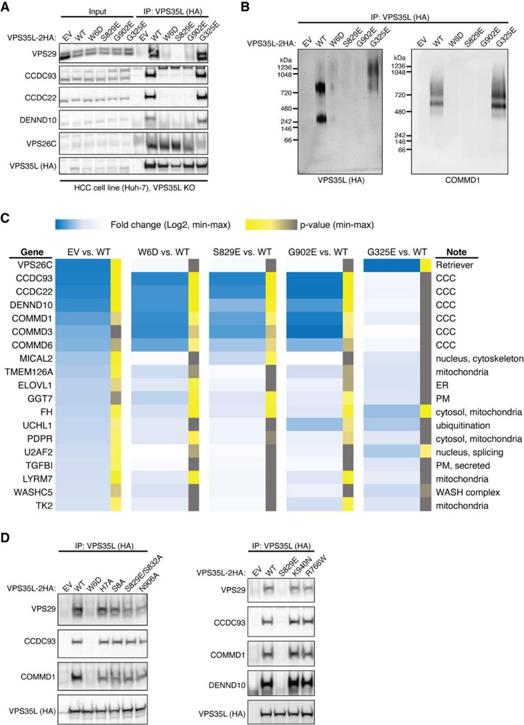 Extended Data Fig. 3.