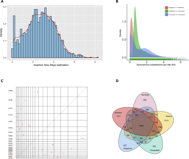 Figure 2