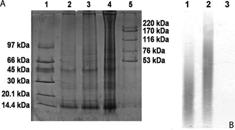 FIG. 9.