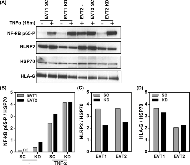 Figure 6.