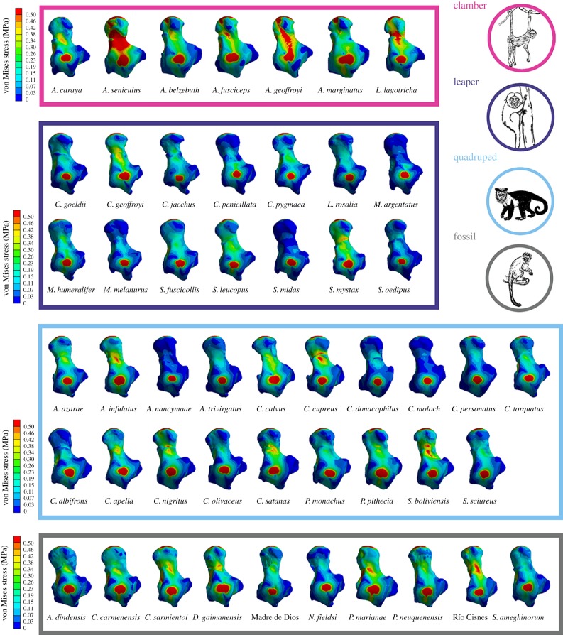 Figure 3.