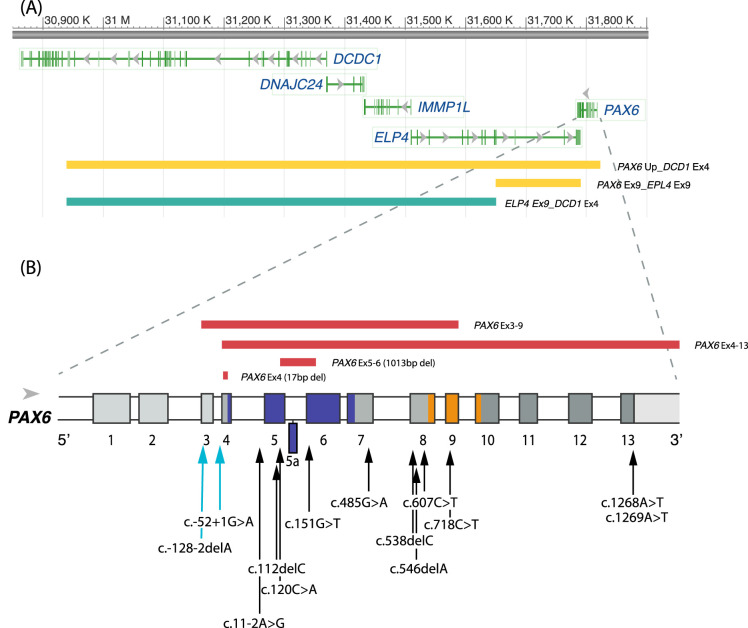 Figure 2.